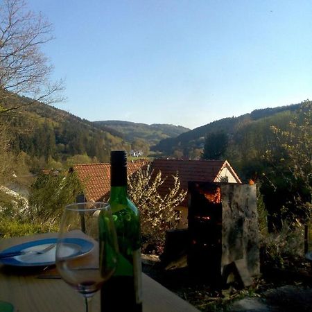 Fewo Pacohaus Naehe Willingen Diemelsee Brilon Exteriör bild