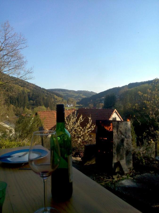 Fewo Pacohaus Naehe Willingen Diemelsee Brilon Exteriör bild
