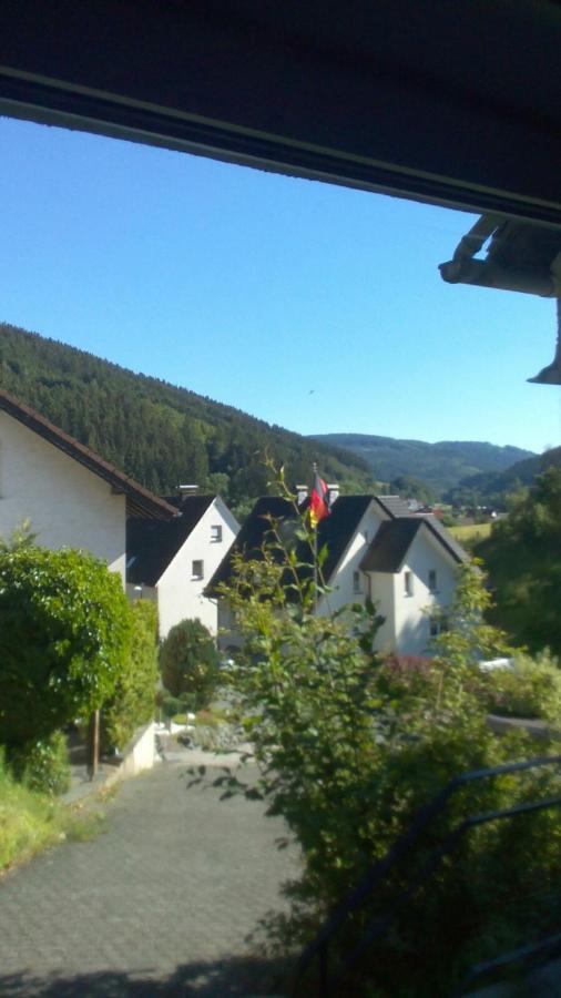 Fewo Pacohaus Naehe Willingen Diemelsee Brilon Exteriör bild