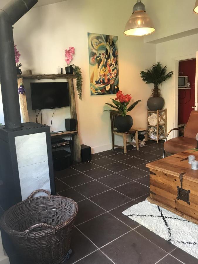 Fewo Pacohaus Naehe Willingen Diemelsee Brilon Exteriör bild